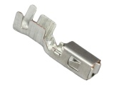Mini Blade Fuse Terminal - 2.5 - 4.0mm Cable