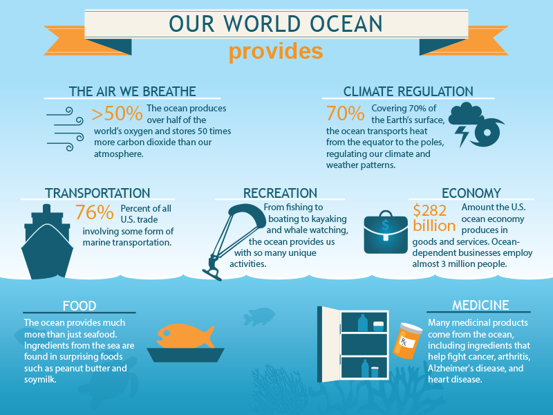 World Ocean Day - Protect Our oceans