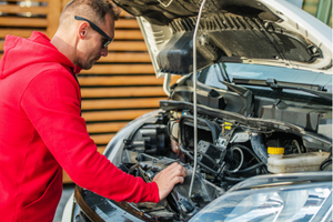 Vehicle Checks