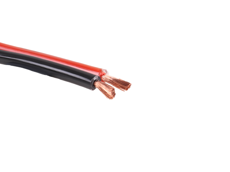 2 wire battery terminal hotsell