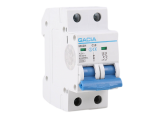 GACIA 10 Amp Double Pole MCB