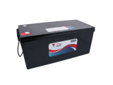 TN Power Lithium (LiFePO4) Battery - 216Ah